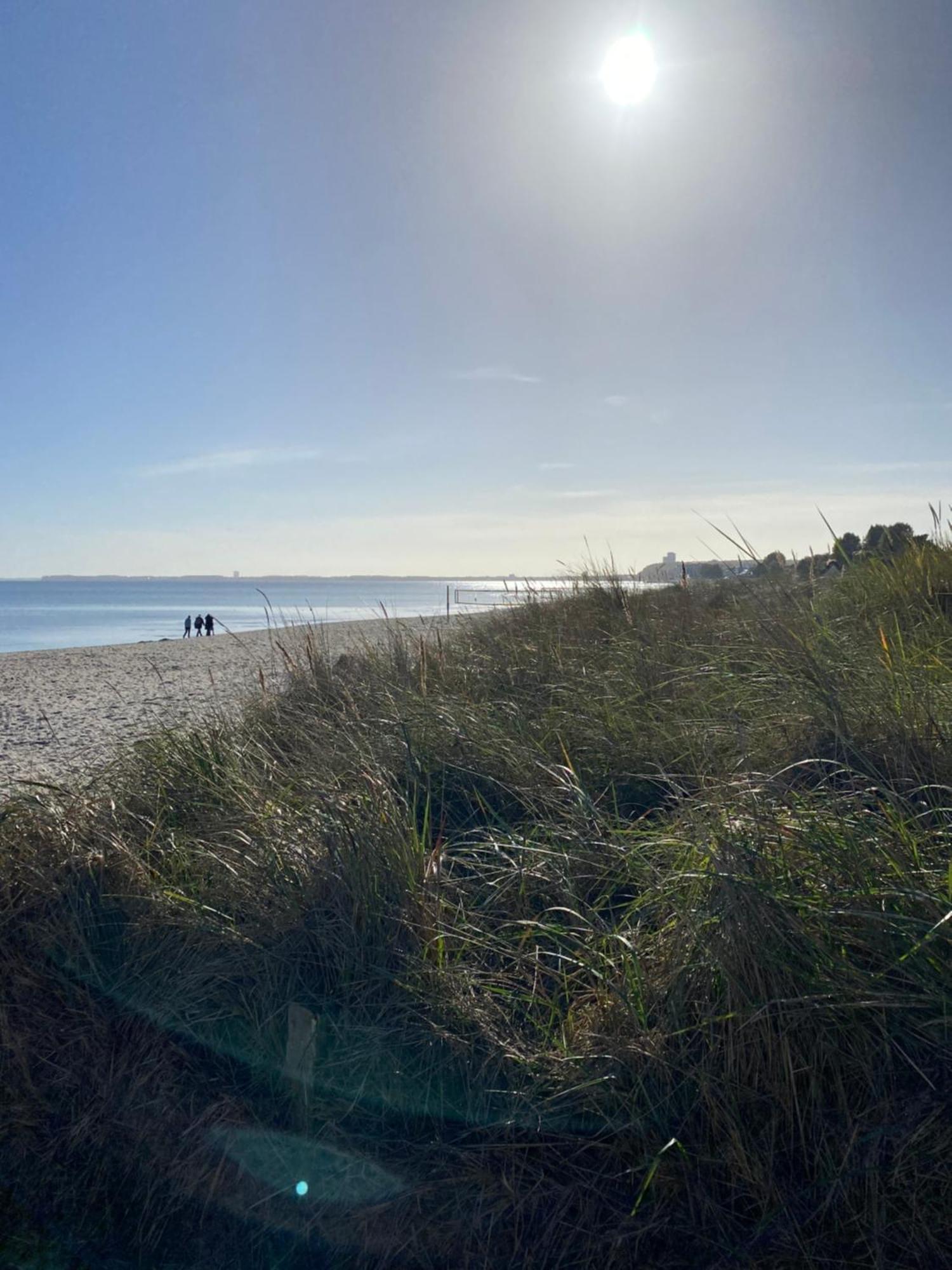 Beach House Chalet Seeparx Suesel Susel Bagian luar foto