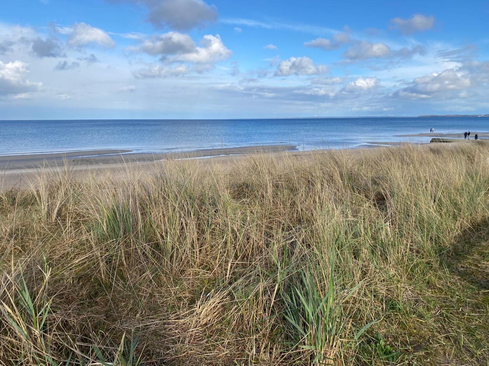 Beach House Chalet Seeparx Suesel Susel Bagian luar foto
